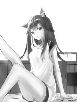 [麦粒太太Ver] Arknights本子001 (Arknights) [Chinese]_002