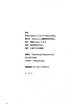[命蓮寺漢化組] (例大祭11) [破断torque (トルク)] Reversible (東方Project)_17