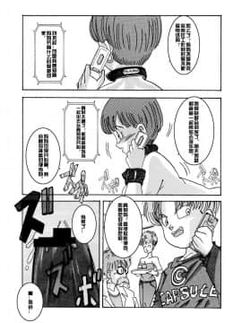 [ライト・レイト・ポート・ピンク] 誕生!! 悪の女戦士 - ビーデル洗脳改造計画 (ドラゴンボールZ) [中国翻訳]_30