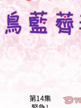 菜鸟蓝荠理 1-39話[完結]_1246