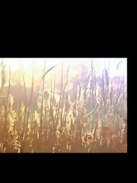 罪与罚 01-40話[完結]_4767