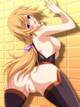 [Pixiv FANBOX] KA2 (10337)&nbsp;&nbsp;(Infinite Stratos)_098_loDDbOUoxvAzahY0J4ab0JBR