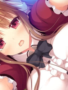 [DESSERT Soft] [了藤誠仁]彼女(ヒロイン)は友達ですか？恋人ですか？それともトメフレですか？_HG010402