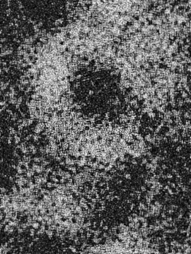 [Pixiv] Zucchini (807482)_236：33267538_p6_2