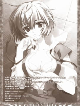 [渣渣汉化组] (C78) [CARNELIAN (CARNELIAN)] 碇くんとぽかぽかしたい･･････ (新世紀エヴァンゲリオン)_IMAGE_17