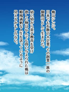 [TypeH] 童貞を絶対にバカにしない南の島の健康ドスケベボディ女は頭もお股もユルユル～SEX HAVEN～_007_006_0006