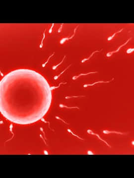 [大宮司 (まるまろみ)] 欲求不満の人妻たちに種付け孕ませサービス! 〜旦那が帰宅するまでに子宮はパンパン〜_746_324