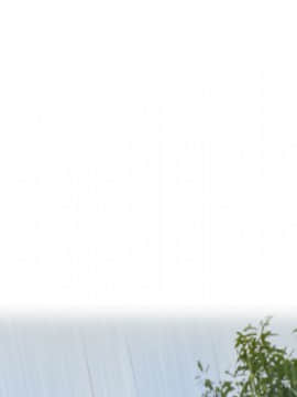 煉獄鬼島1-44話[完結]_19_2202