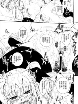 [新桥月白日语社] (C76) [DIEPPE FACTORY Darkside (あるぴーぬ)] FATE FIRE WITH FIRE 3 (魔法少女リリカルなのは)_025