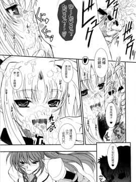 [新桥月白日语社] (C76) [DIEPPE FACTORY Darkside (あるぴーぬ)] FATE FIRE WITH FIRE 3 (魔法少女リリカルなのは)_027