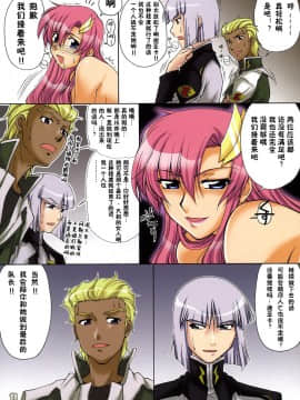 [零食汉化组] (C70) [GOLD RUSH (鈴木あどれす)] Thank you! Full Color (機動戦士ガンダムSEED DESTINY)_10