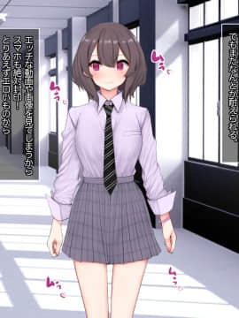 [あろはそふと] 生ハメ禁止とは言ってない自慰我慢生徒会選挙_007_P006
