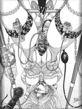 [夢幻回廊 (青樹零夢)] 格闘娘 女神っくすα_43