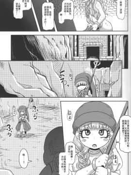 [14个人汉化] (C93) [Helldevice (nalvas)] 天才魔法使いの性事情 (ドラゴンクエストXI)_Page_025