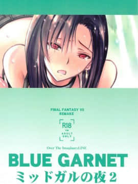 [空気系☆漢化] [BLUE GARNET (芹沢克己)] ミッドガルの夜2 (ファイナルファンタジーVII)_18