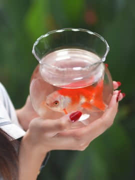 [二佐nisa] JK_[fbfb.me](5)