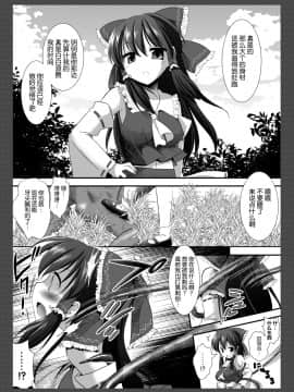 (C79) [ナギヤマスギ (那岐山)] 東方陵辱8 (東方Project) [中国翻訳]_03