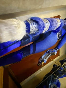 [Ayano Harumaki]&nbsp;&nbsp;Krystal from Star Fox_1782_Ega4oULVoAE1FFr