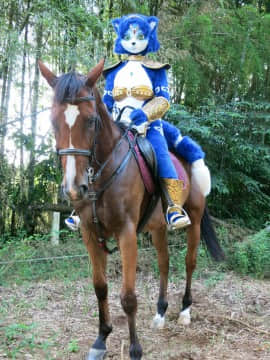 [Ayano Harumaki]&nbsp;&nbsp;Krystal from Star Fox_1783_EglCW3WU0AIvMVv