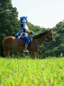 [Ayano Harumaki]&nbsp;&nbsp;Krystal from Star Fox_1784_EglCWeaUMAETh2u