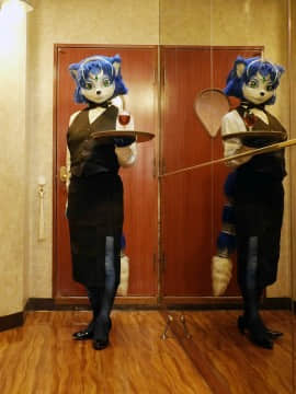 [Ayano Harumaki]&nbsp;&nbsp;Krystal from Star Fox_1801_ElphABYVkAAKXZF