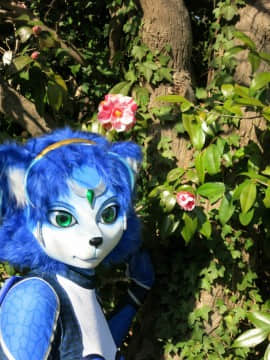 [Ayano Harumaki]&nbsp;&nbsp;Krystal from Star Fox_1689_Post_Con_Ayano_Photos_and_Video_Cosplay.Ayano.PostFurryFiestaJapan.04