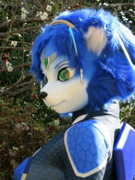 [Ayano Harumaki]&nbsp;&nbsp;Krystal from Star Fox_1695_Post_Con_Ayano_Photos_and_Video_Cosplay.Ayano.PostFurryFiestaJapan.10