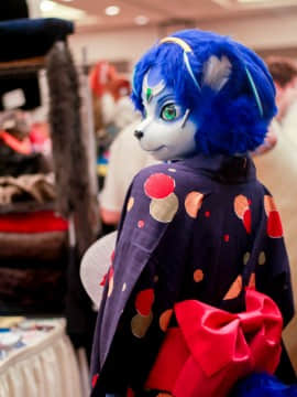 [Ayano Harumaki]&nbsp;&nbsp;Krystal from Star Fox_1637_Further_Confusion_2016_Megapost_15