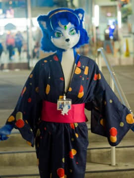 [Ayano Harumaki]&nbsp;&nbsp;Krystal from Star Fox_1641_Further_Confusion_2016_Megapost_19