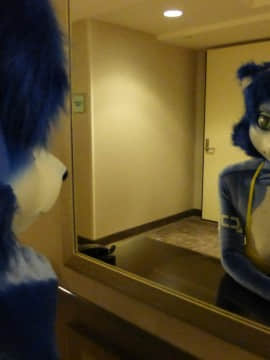 [Ayano Harumaki]&nbsp;&nbsp;Krystal from Star Fox_1619_Further_Confusion_2016_Ayano_Photos_Cosplay.Ayano.FC2016.DirectPhotos.42