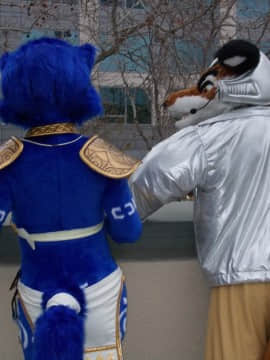 [Ayano Harumaki]&nbsp;&nbsp;Krystal from Star Fox_1572_Full_Resolution_Photo_Galleries_from_Further_Confusion_2016_5_266_32550576992_o