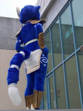 [Ayano Harumaki]&nbsp;&nbsp;Krystal from Star Fox_1546_Full_Resolution_Photo_Galleries_from_Further_Confusion_2016_5_240_32324036290_o