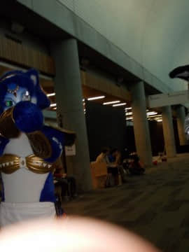 [Ayano Harumaki]&nbsp;&nbsp;Krystal from Star Fox_1501_Full_Resolution_Photo_Galleries_from_Further_Confusion_2016_5_194_31890891213_o