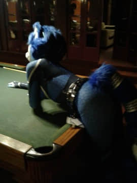 [Ayano Harumaki]&nbsp;&nbsp;Krystal from Star Fox_1233_flickr_34346507176_d239b19de8_o