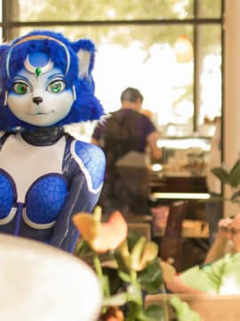 [Ayano Harumaki]&nbsp;&nbsp;Krystal from Star Fox_1224_flickr_34339008443_da2fc06e59_o