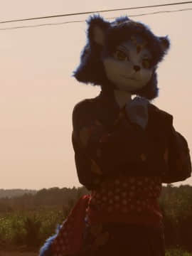 [Ayano Harumaki]&nbsp;&nbsp;Krystal from Star Fox_0801_Ayano_Visits_Horse_Farm_and_Inari_Shrine_Cosplay.Ayano.Yukata.03