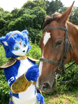 [Ayano Harumaki]&nbsp;&nbsp;Krystal from Star Fox_0785_Ayano_Visits_Horse_Farm_and_Inari_Shrine_Cosplay.Ayano.HorseFarm.07