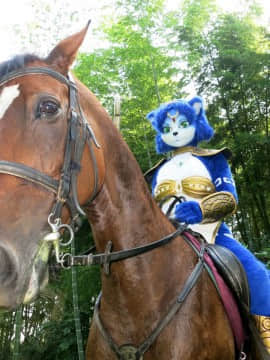 [Ayano Harumaki]&nbsp;&nbsp;Krystal from Star Fox_0791_Ayano_Visits_Horse_Farm_and_Inari_Shrine_Cosplay.Ayano.HorseFarm.13