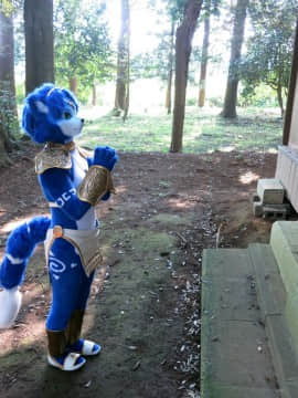 [Ayano Harumaki]&nbsp;&nbsp;Krystal from Star Fox_0794_Ayano_Visits_Horse_Farm_and_Inari_Shrine_Cosplay.Ayano.InariShrine.03