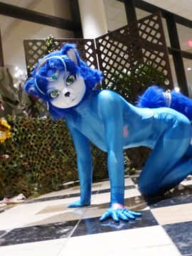 [Ayano Harumaki]&nbsp;&nbsp;Krystal from Star Fox_0690_Ayano_Twitter_ayano_harumaki_937261986164830208_20171203_210725_img1