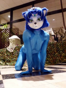 [Ayano Harumaki]&nbsp;&nbsp;Krystal from Star Fox_0691_Ayano_Twitter_ayano_harumaki_937261986164830208_20171203_210725_img2