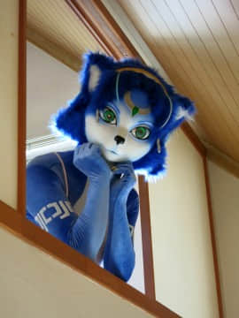 [Ayano Harumaki]&nbsp;&nbsp;Krystal from Star Fox_0663_Ayano_Twitter_ayano_harumaki_896705816379535360_20170813_221141_img2