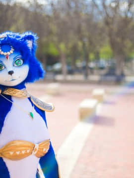 [Ayano Harumaki]&nbsp;&nbsp;Krystal from Star Fox_0654_Ayano_Twitter_ayano_harumaki_881821221570043904_20170703_202537_img1