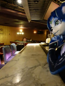 [Ayano Harumaki]&nbsp;&nbsp;Krystal from Star Fox_0611_Ayano_Twitter_ayano_harumaki_849579775450505216_20170405_210937_img2