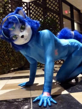 [Ayano Harumaki]&nbsp;&nbsp;Krystal from Star Fox_0612_Ayano_Twitter_ayano_harumaki_850651773177962497_20170408_200921_img1