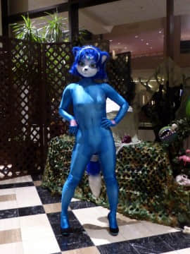 [Ayano Harumaki]&nbsp;&nbsp;Krystal from Star Fox_0614_Ayano_Twitter_ayano_harumaki_850651773177962497_20170408_200921_img3