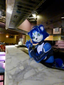 [Ayano Harumaki]&nbsp;&nbsp;Krystal from Star Fox_0598_Ayano_Twitter_ayano_harumaki_846212628267630592_20170327_150947_img1