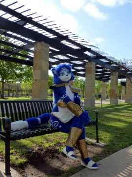 [Ayano Harumaki]&nbsp;&nbsp;Krystal from Star Fox_0603_Ayano_Twitter_ayano_harumaki_846703049032830976_20170328_233832_img1