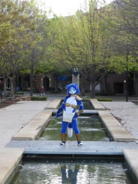 [Ayano Harumaki]&nbsp;&nbsp;Krystal from Star Fox_0605_Ayano_Twitter_ayano_harumaki_847766566947115008_20170331_220434_img1