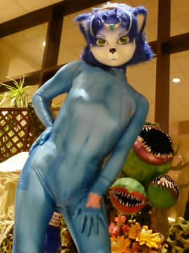 [Ayano Harumaki]&nbsp;&nbsp;Krystal from Star Fox_0594_Ayano_Twitter_ayano_harumaki_845970327083646976_20170326_230658_img1